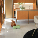 Ciotole per cani e gatti rialzate Bay Bis in ambiente domestico