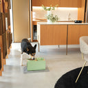 Cane che mangia ciotole per cani in una cucina moderna con arredi in legno.