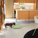 Kit alzaciotole Bill Small verde ambientato in interno moderno