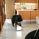 Ciotole per cani rialzate Bill Lux Large utilizzate in ambiente domestico