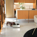 Vista ambientata ciotole per cani rialzate Bill Lux Piccolo in acciaio inox