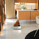 Vista ambientata ciotole per cani rialzate Bill Lux Piccolo in acciaio inox