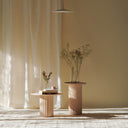 Coffee table | Capital