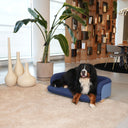 Salottino per gatti e cani da interno con cane sdraiato sul cuscino