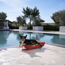 Salottino per gatti e cani da esterno Lazy Medium ambientato in giardino