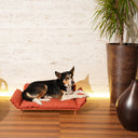 Salottino per gatti e cani - Lazy Medium, cane sdraiato su un comodo letto da esterno nel salotto moderno.