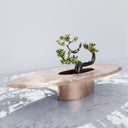 Tavolo da caffè Mobile Host con decorazione